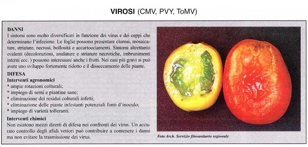 virosi
