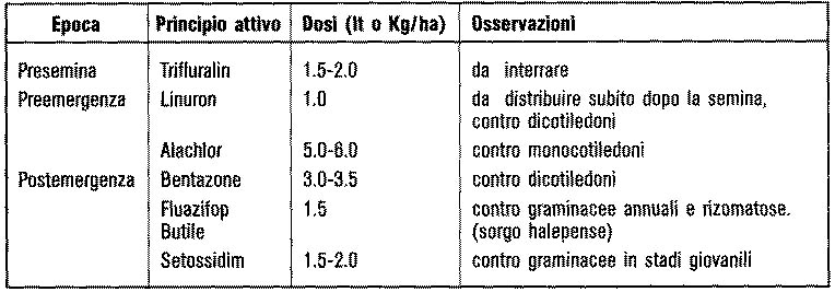 diserbo