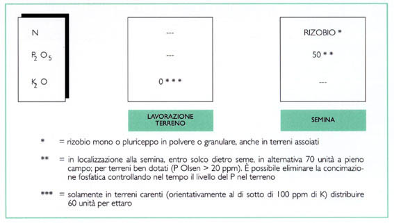 sojaconc1small