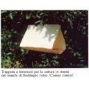 trappola